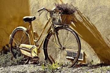 Россия: «От эковелосипеда до возможности видеть сквозь стены» Россия: «От эковелосипеда до возможности видеть сквозь стены»